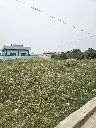 20250612_114142.webp