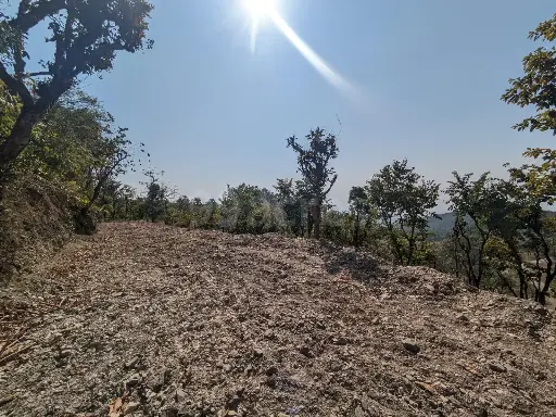 Premium Farmhouse Plots on Cantt Road, Dehradun